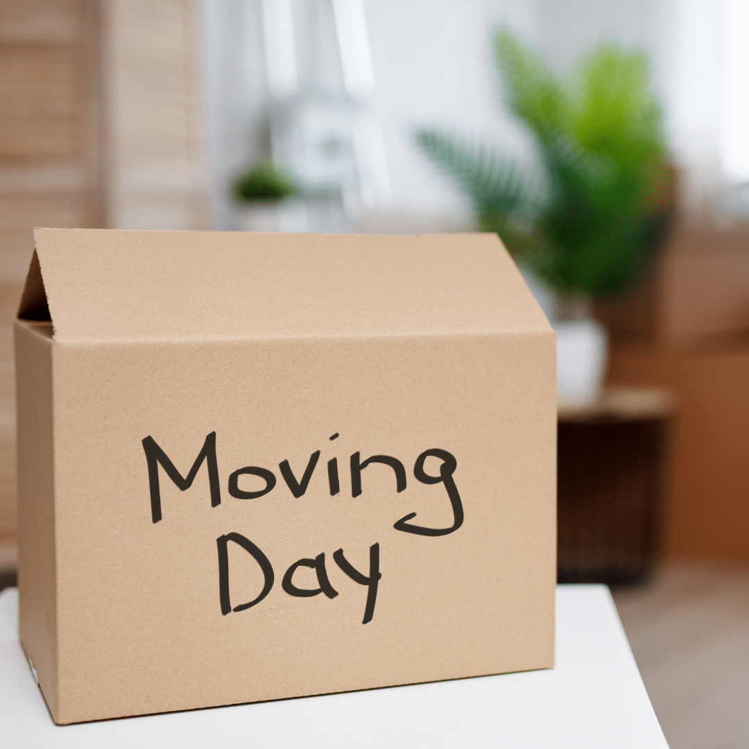 shipping box for business location move with moving day written in marker