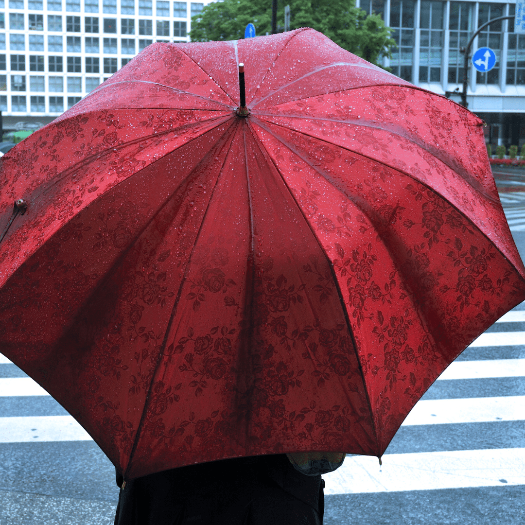person on crosswalk with red umbrella